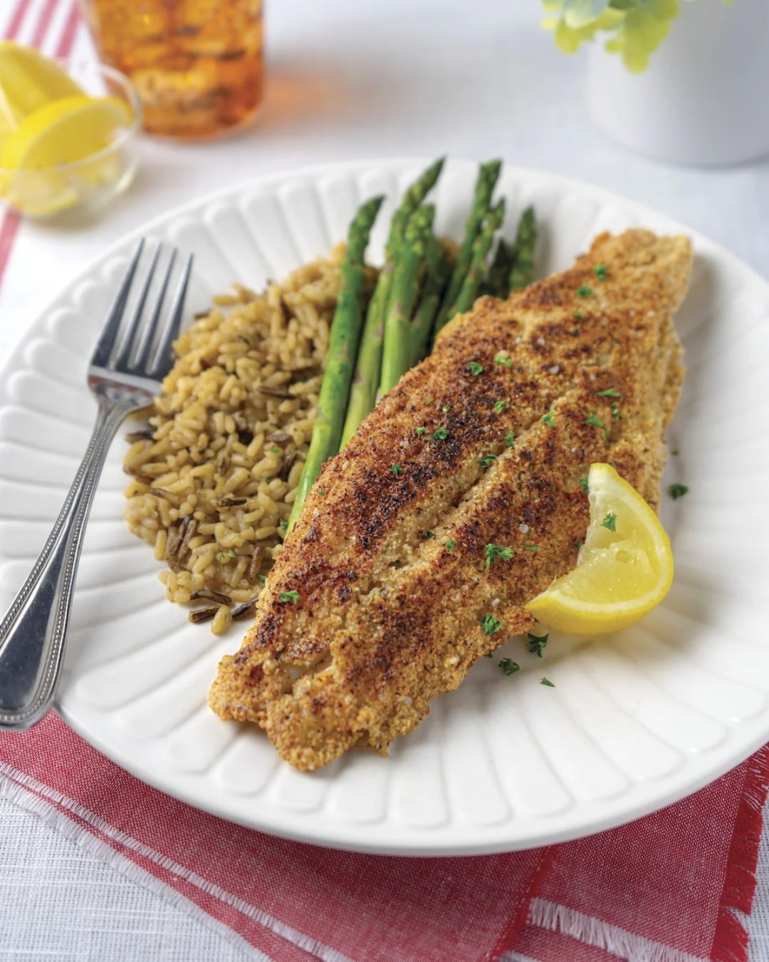 Free Catfish Cookbook & Recipes