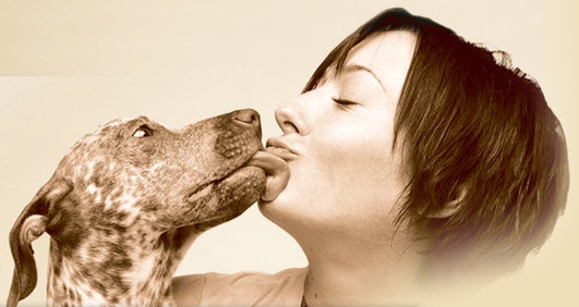 Coupon 5 Eukanuba Dog Food Hey It s Free