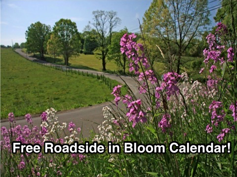 Free Roadside Bloom Calendar