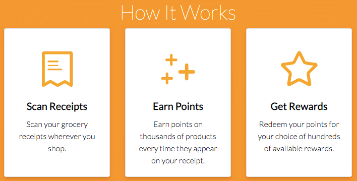 Everything You Need To Know About The New Fetch Rewards App