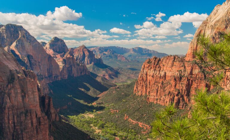 Free National Park Clean Up Kit