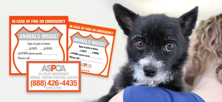Free ASPCA Pet Safety Pack