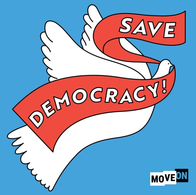 Free Save Democracy Sticker