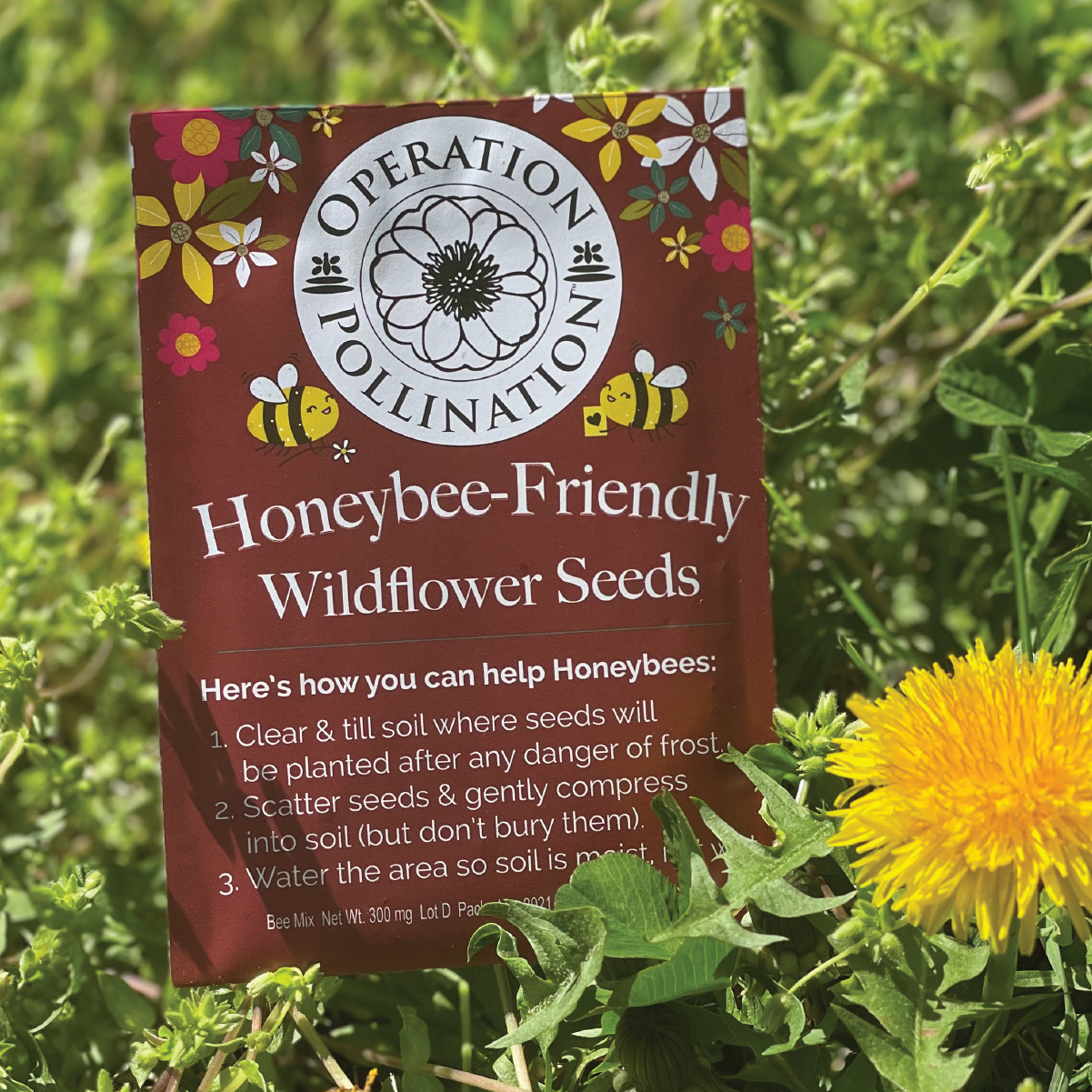 Free Wildflower Seed Packets that are Honeybee Friendly