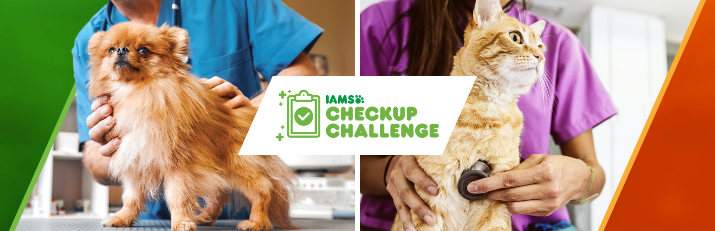 Free IAMS Checkup Challenge Vet Visit