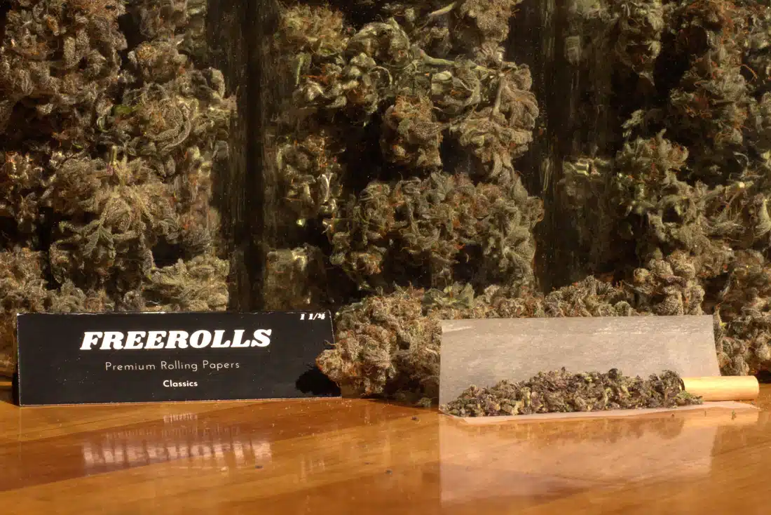 FreeRolls Rolling Papers
