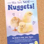 Free peta2 We Are Not Nuggets Poster