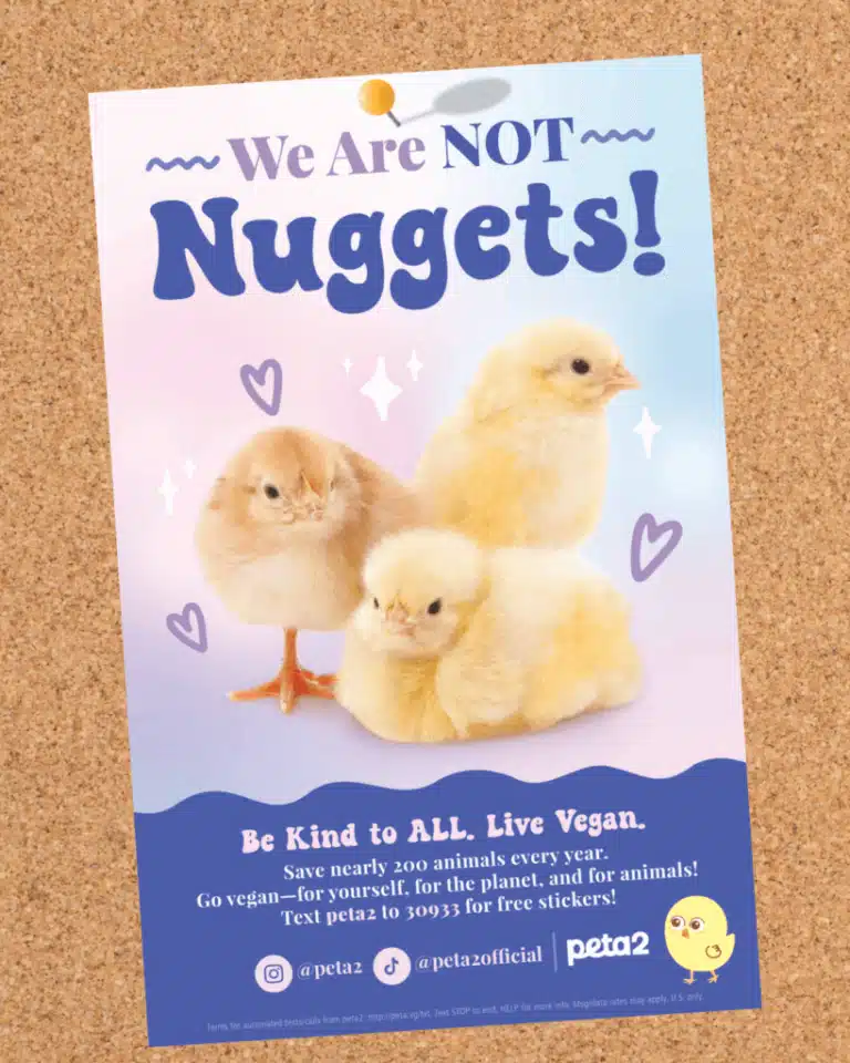 Free peta2 We Are Not Nuggets Poster