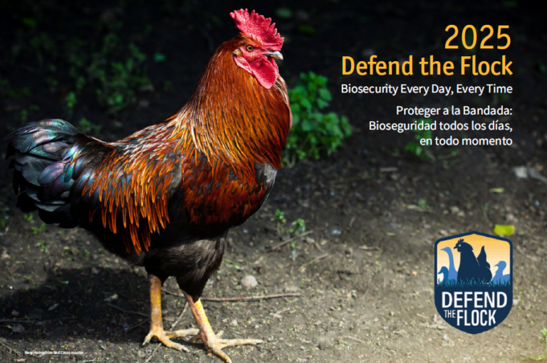 Free 2025 Defend Flock Calendar