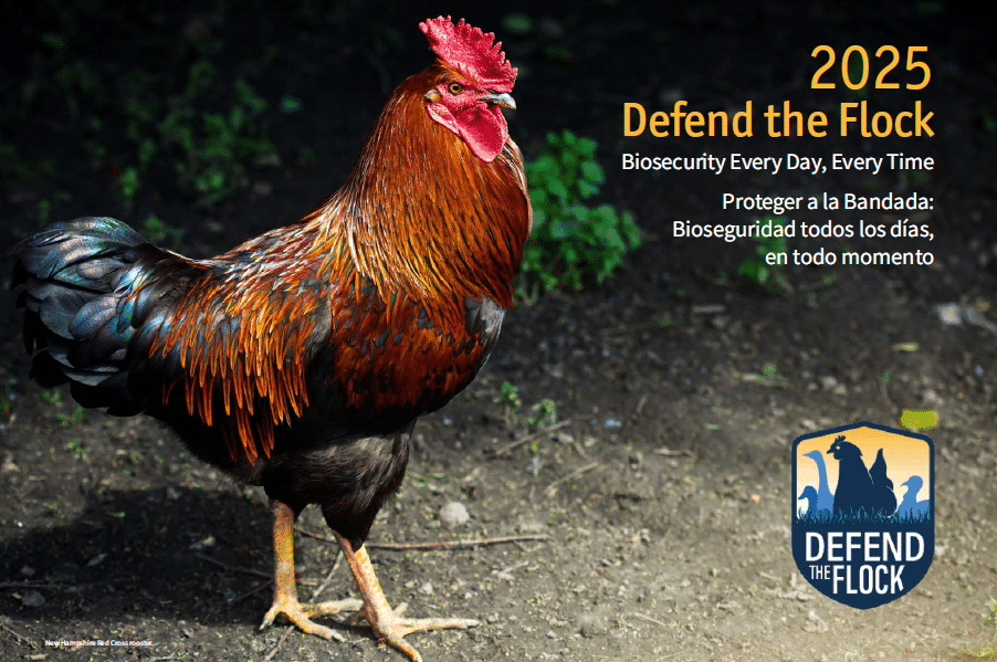 Free Defend the Flock 2025 Calendar • Hey It #39 s Free Free Defend the Flock 2025 Calendar • Hey It #39 s Free