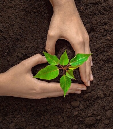 Free Plantable Seed Paper Heart