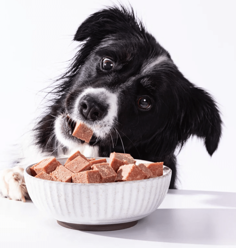 Free SPD Fresh Roll Dog Food