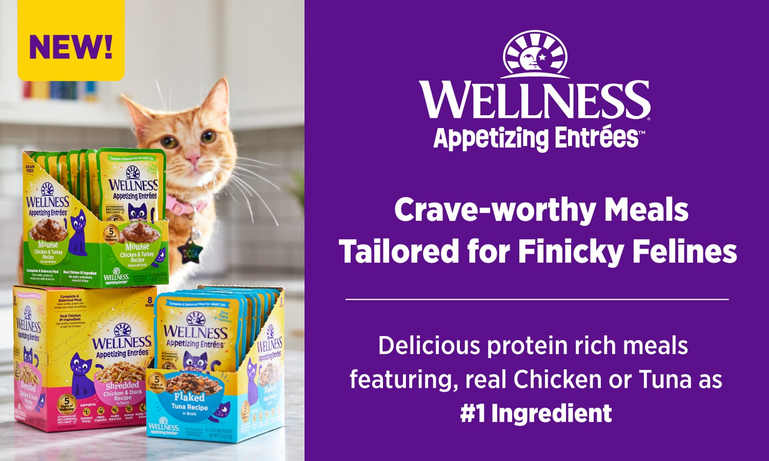 Free Wellness Cat Entrees