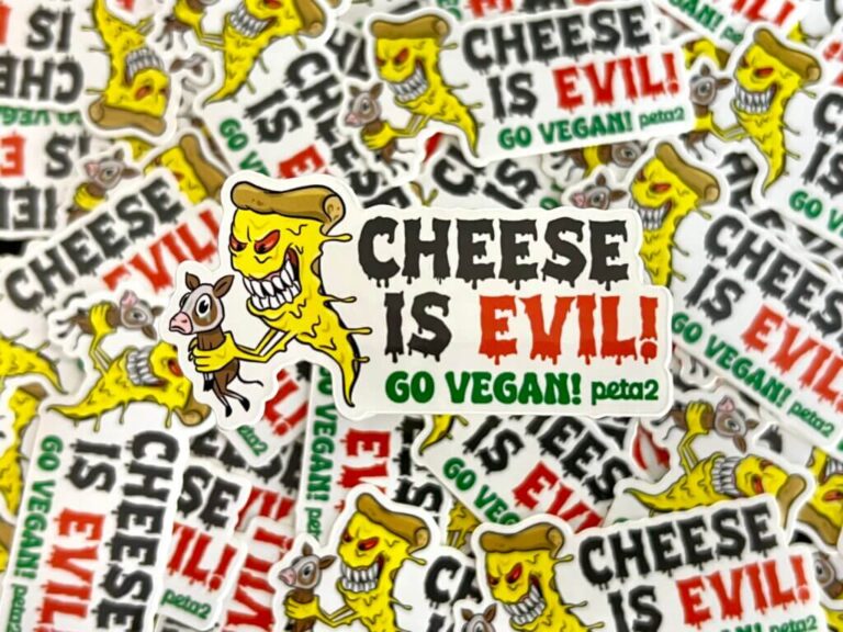 Free Cheese is Evil Sticker