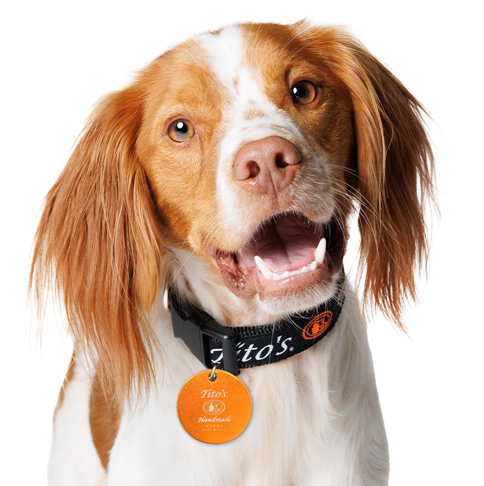 Free Tito's Dog Collar Tag