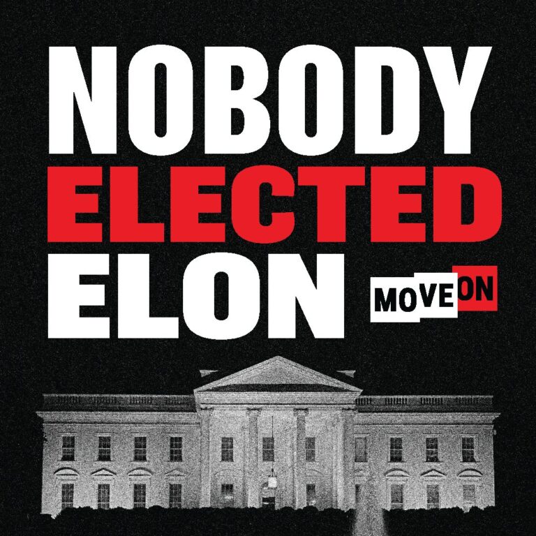 Nobody Elected Elon Sticker