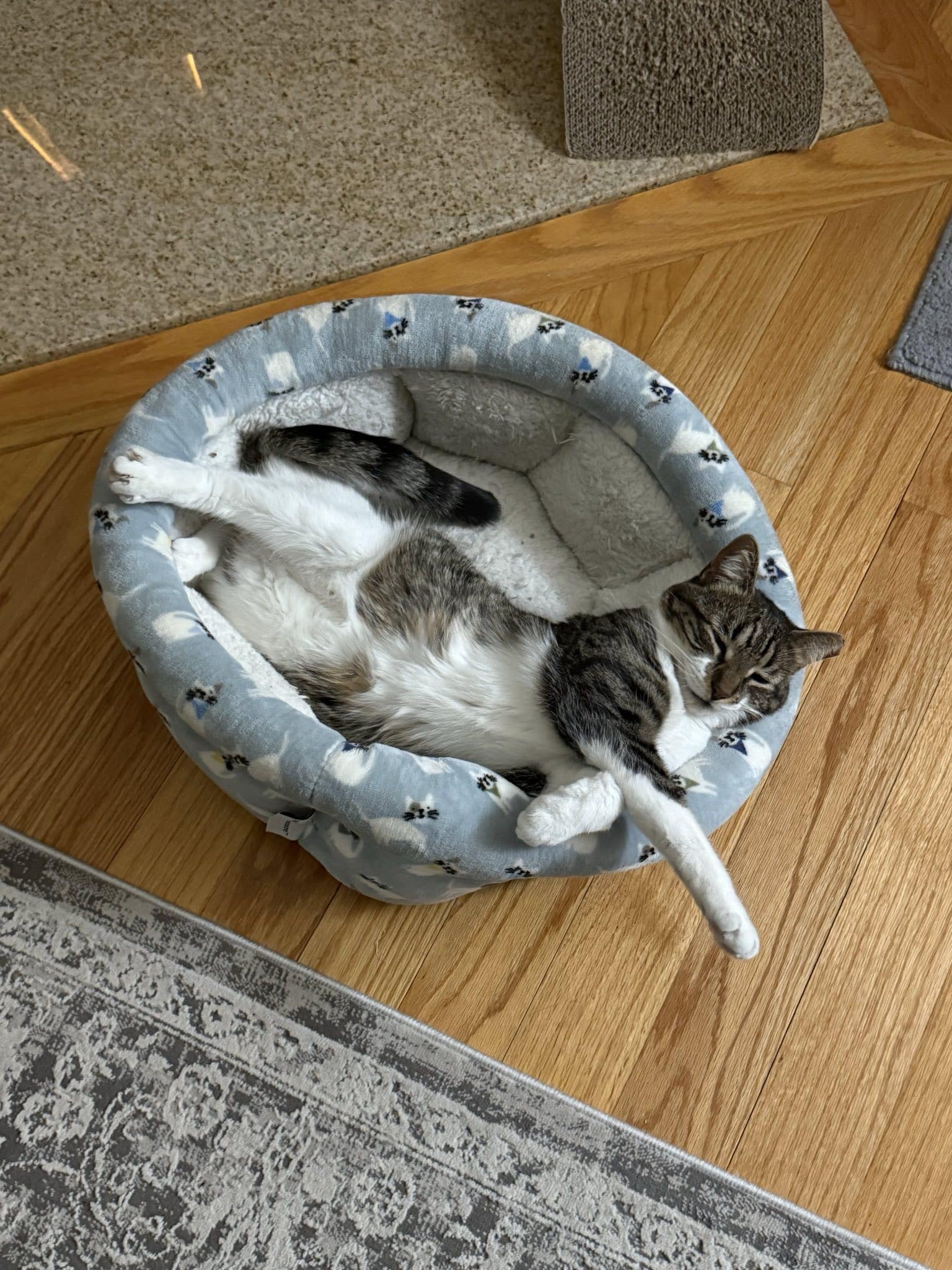 marsh relaxing