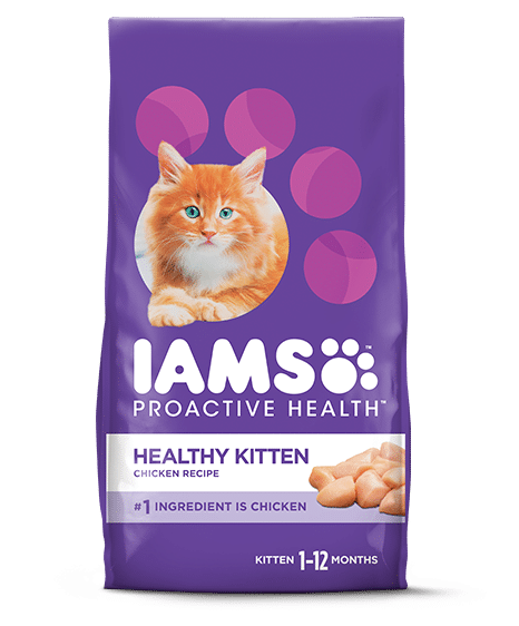 Free IAMS Kitten Dry Food