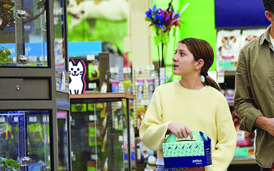 Catch Mews if You Can at Petco