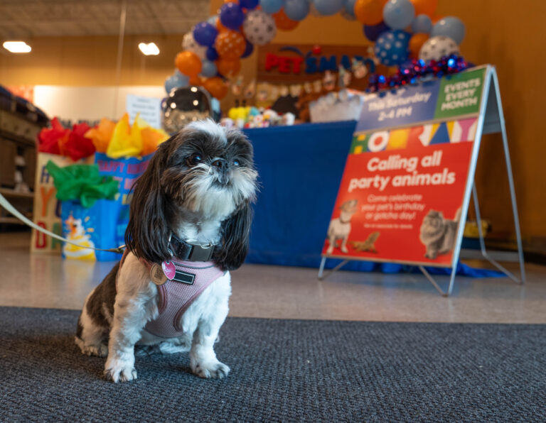 Free PetSmart Birthday Events