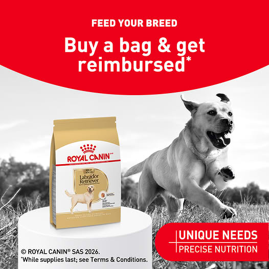 Free Royal Canin Dog Food