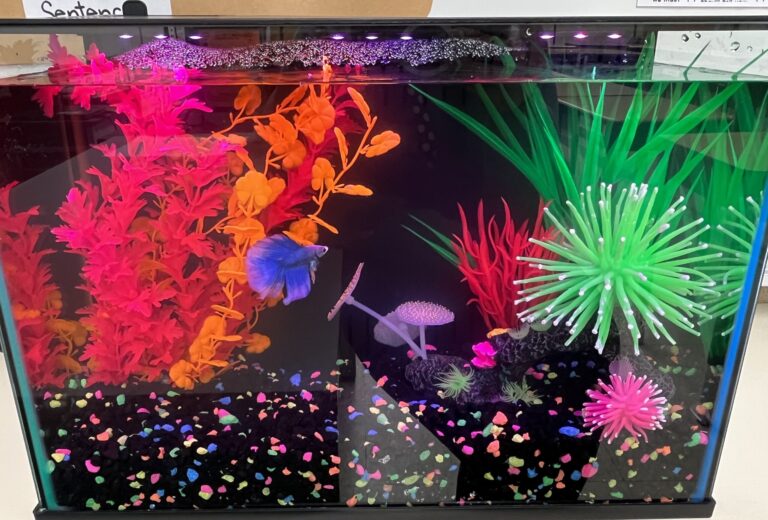 Free Pets in the Classroom for Teachers